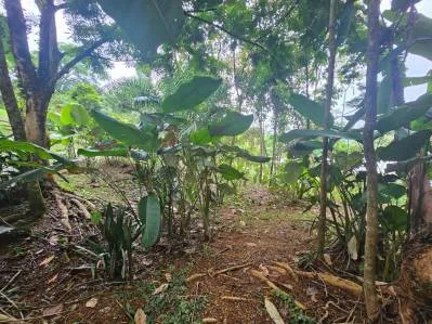 NEW 0.31 ACRES LOT IN UVITA !, photo 28