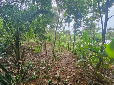 NEW 0.31 ACRES LOT IN UVITA !, photo 29