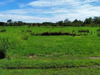Lote de alta plusvalía, a unos minutos de Ojochal!, photo 6