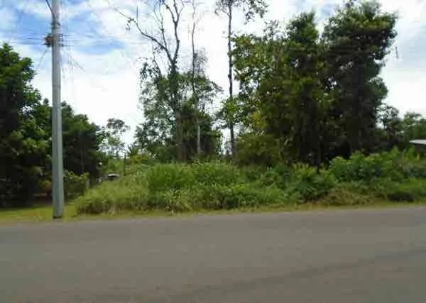 Lote en Guácimo (bien adjudicado)