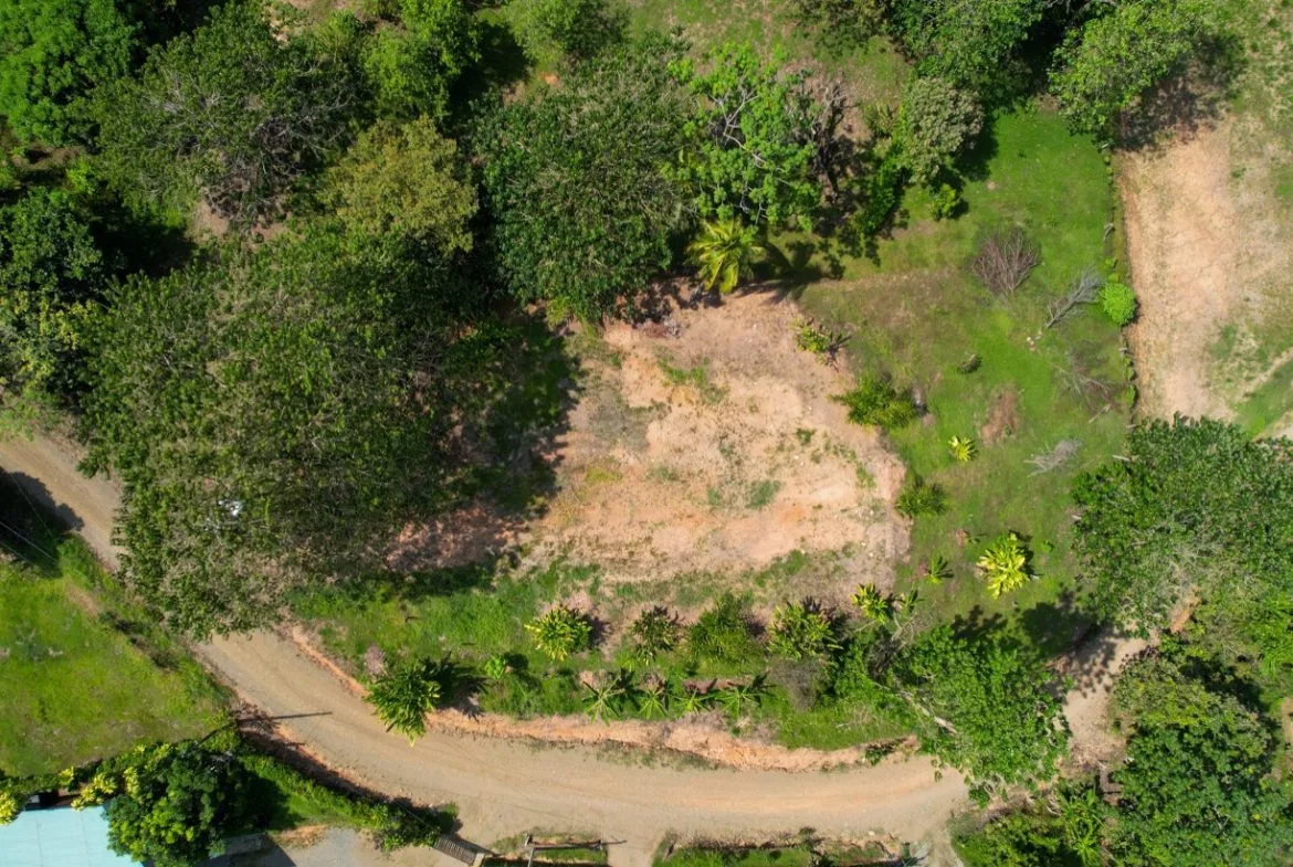 BUILDING PROPERTY WITH MOUNTAIN VIEWS, IN LA COLONIA UVITA – 0.51 ACRES, photo 2