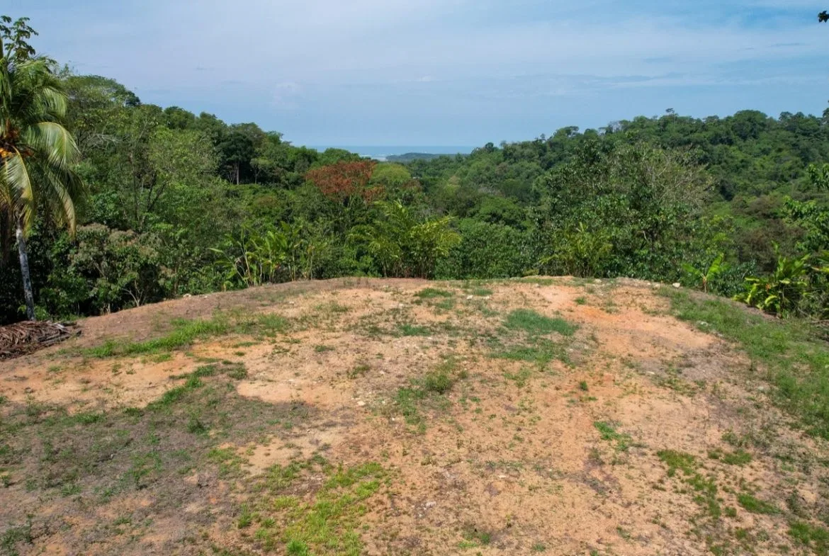 BUILDING PROPERTY WITH MOUNTAIN VIEWS, IN LA COLONIA UVITA – 0.51 ACRES, photo 16