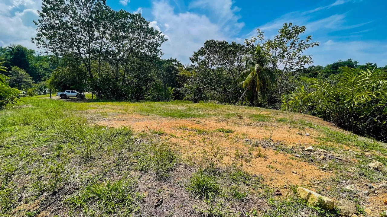 BUILDING PROPERTY WITH MOUNTAIN VIEWS, IN LA COLONIA UVITA – 0.51 ACRES, photo 17