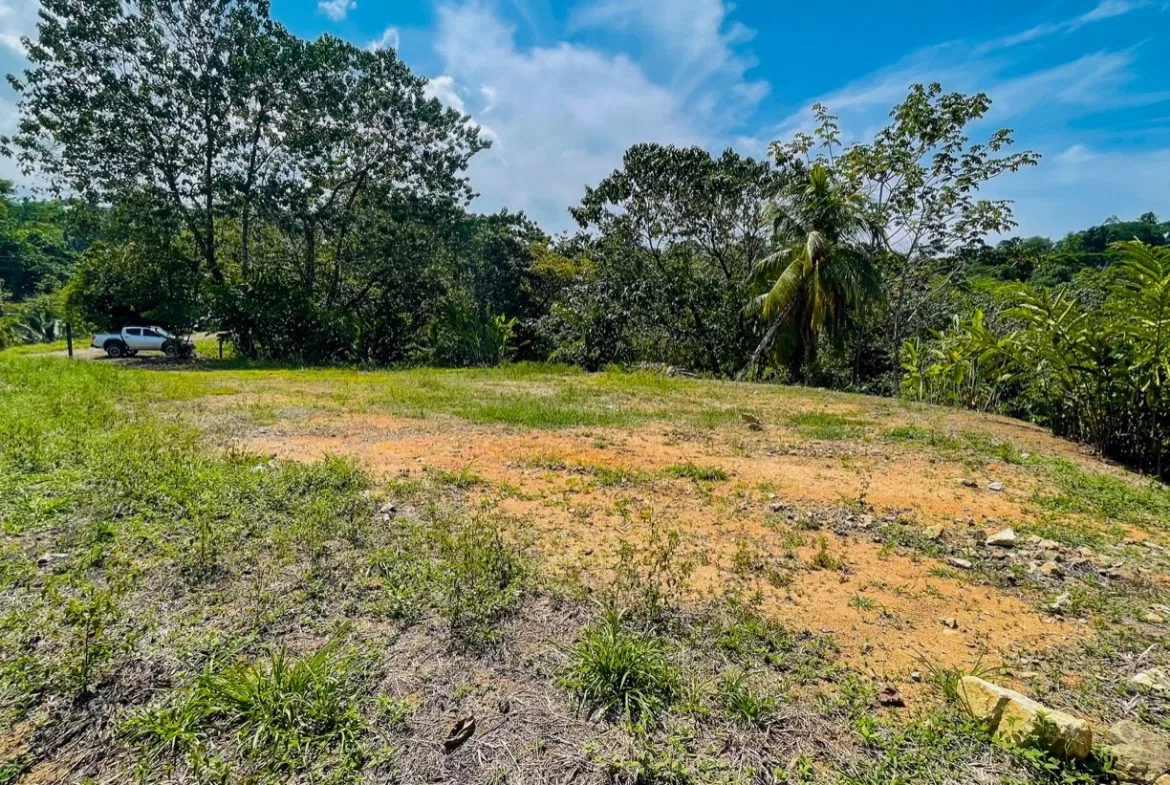 BUILDING PROPERTY WITH MOUNTAIN VIEWS, IN LA COLONIA UVITA – 0.51 ACRES, photo 18