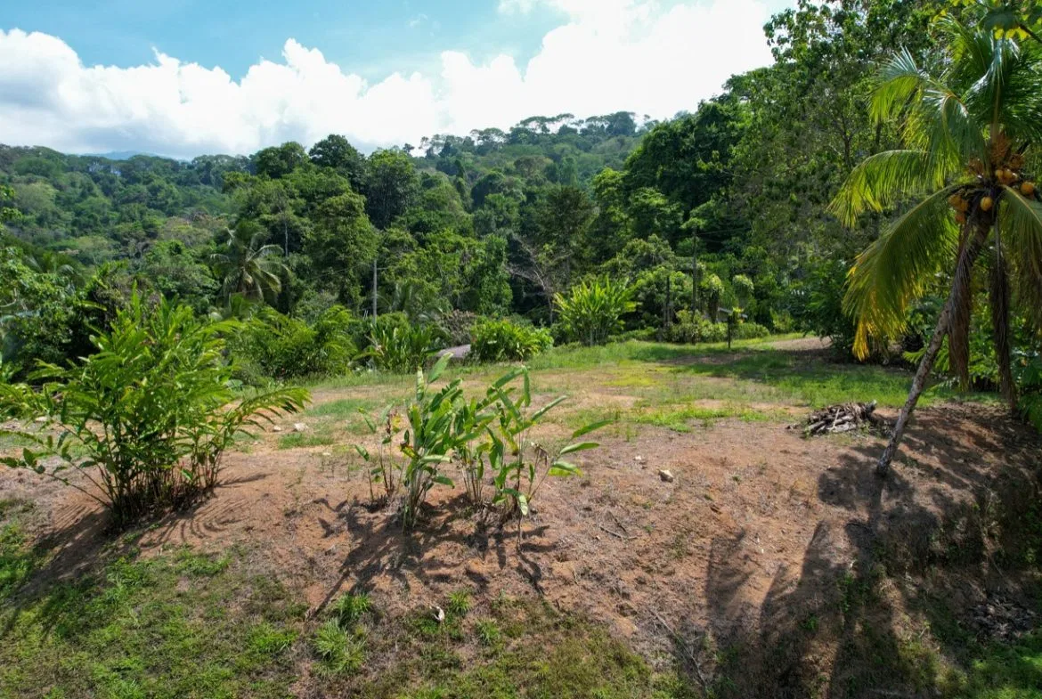 BUILDING PROPERTY WITH MOUNTAIN VIEWS, IN LA COLONIA UVITA – 0.51 ACRES, photo 20