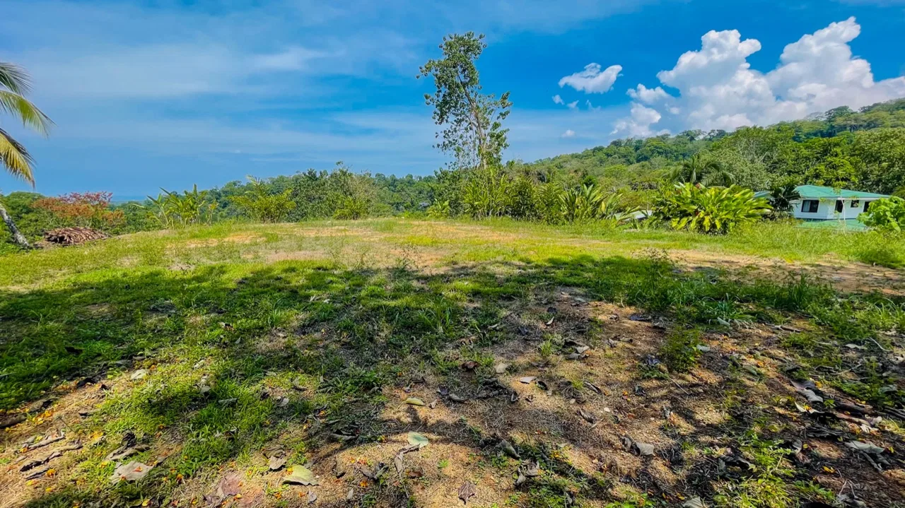 BUILDING PROPERTY WITH MOUNTAIN VIEWS, IN LA COLONIA UVITA – 0.51 ACRES, photo 21