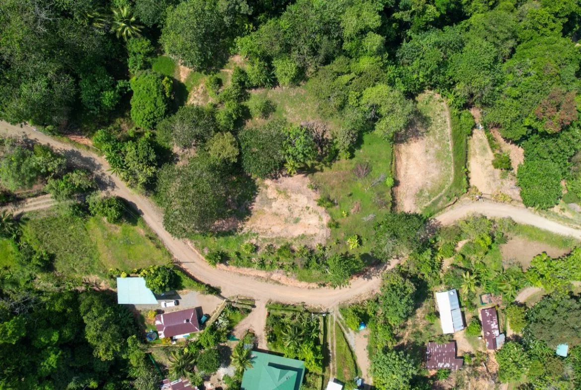 BUILDING PROPERTY WITH MOUNTAIN VIEWS, IN LA COLONIA UVITA – 0.51 ACRES, photo 4