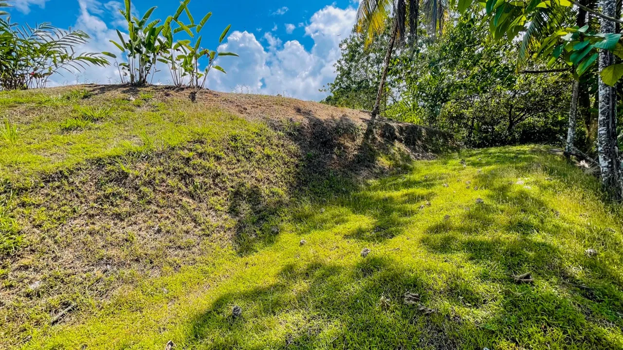 BUILDING PROPERTY WITH MOUNTAIN VIEWS, IN LA COLONIA UVITA – 0.51 ACRES, photo 7