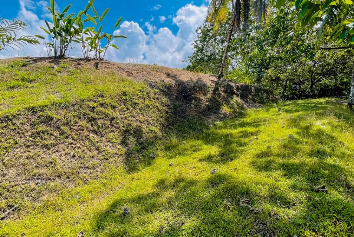BUILDING PROPERTY WITH MOUNTAIN VIEWS, IN LA COLONIA UVITA – 0.51 ACRES, photo 8