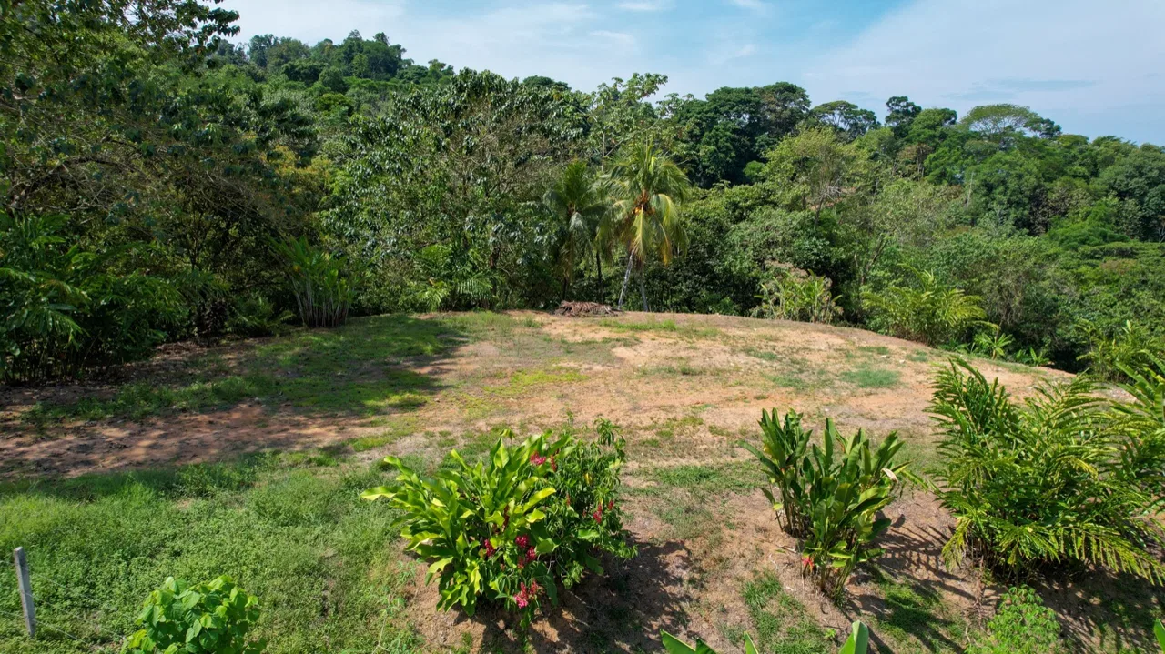 BUILDING PROPERTY WITH MOUNTAIN VIEWS, IN LA COLONIA UVITA – 0.51 ACRES, photo 9