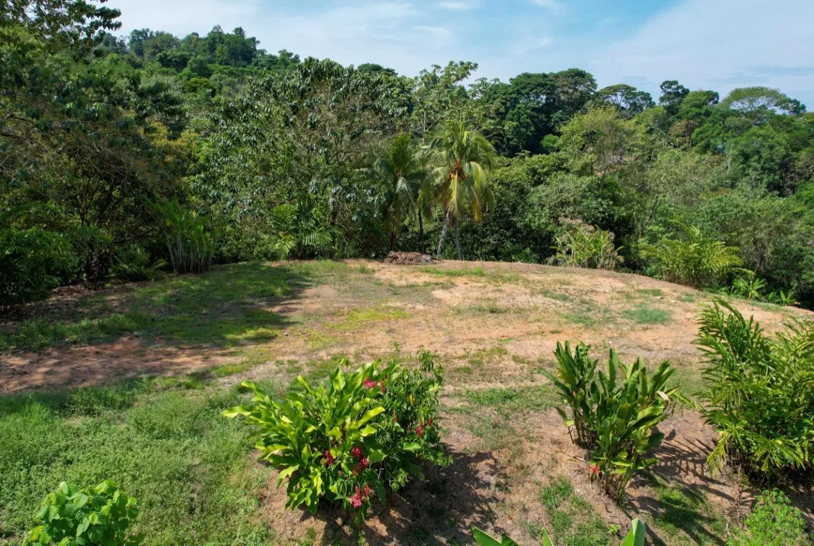 BUILDING PROPERTY WITH MOUNTAIN VIEWS, IN LA COLONIA UVITA – 0.51 ACRES, photo 10