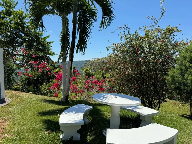 4 Bed Single Family Homes For Sale in Perez Zeledon, photo 6