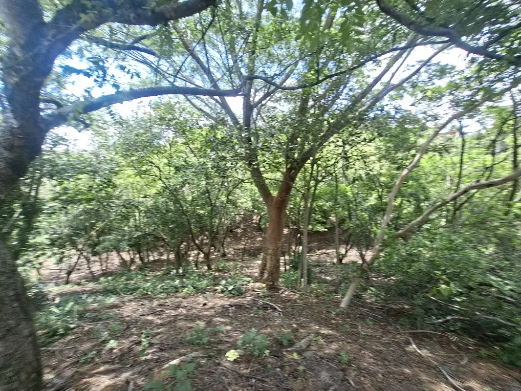 PROPIEDAD EN VENTA. BRASIL DE SANTA ANA. 30 003 m2. USO RESIDENCIAL, photo 12