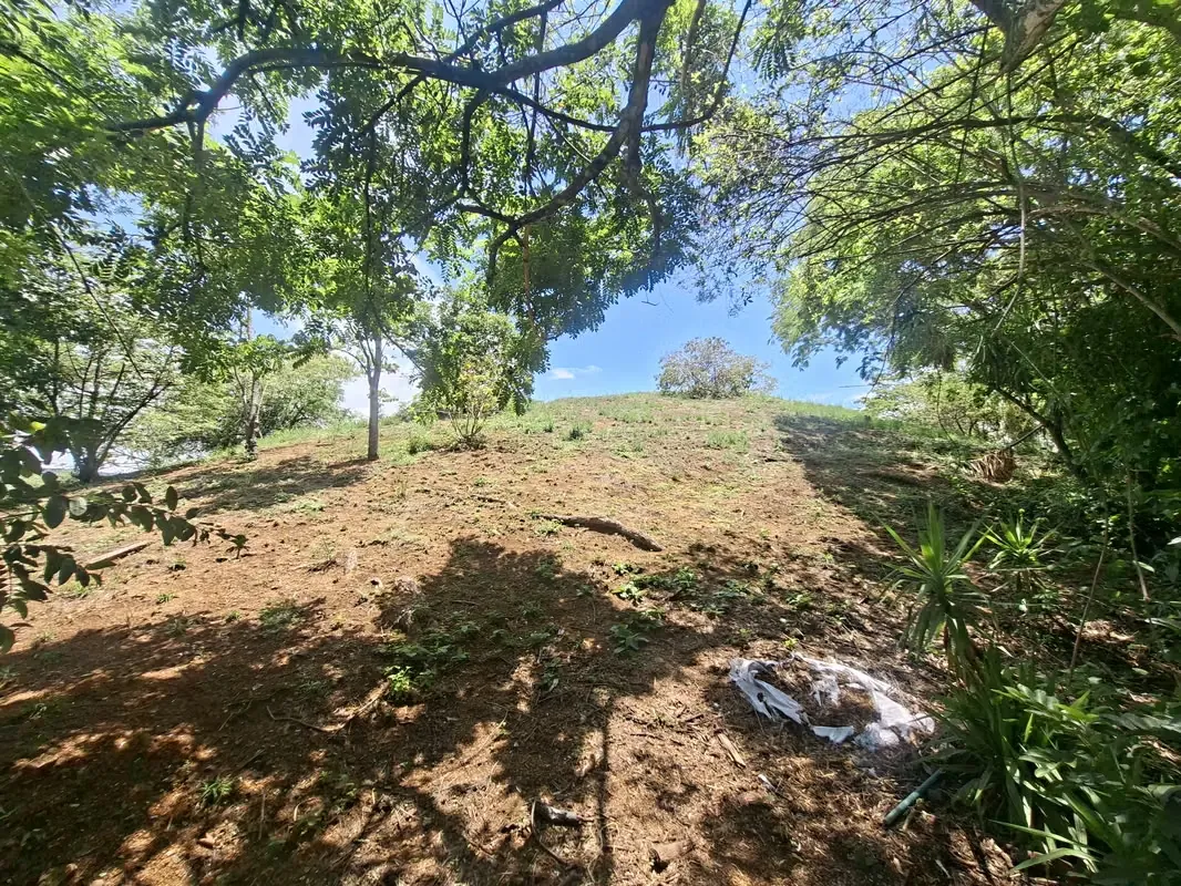 PROPIEDAD EN VENTA. BRASIL DE SANTA ANA. 30 003 m2. USO RESIDENCIAL, photo 4