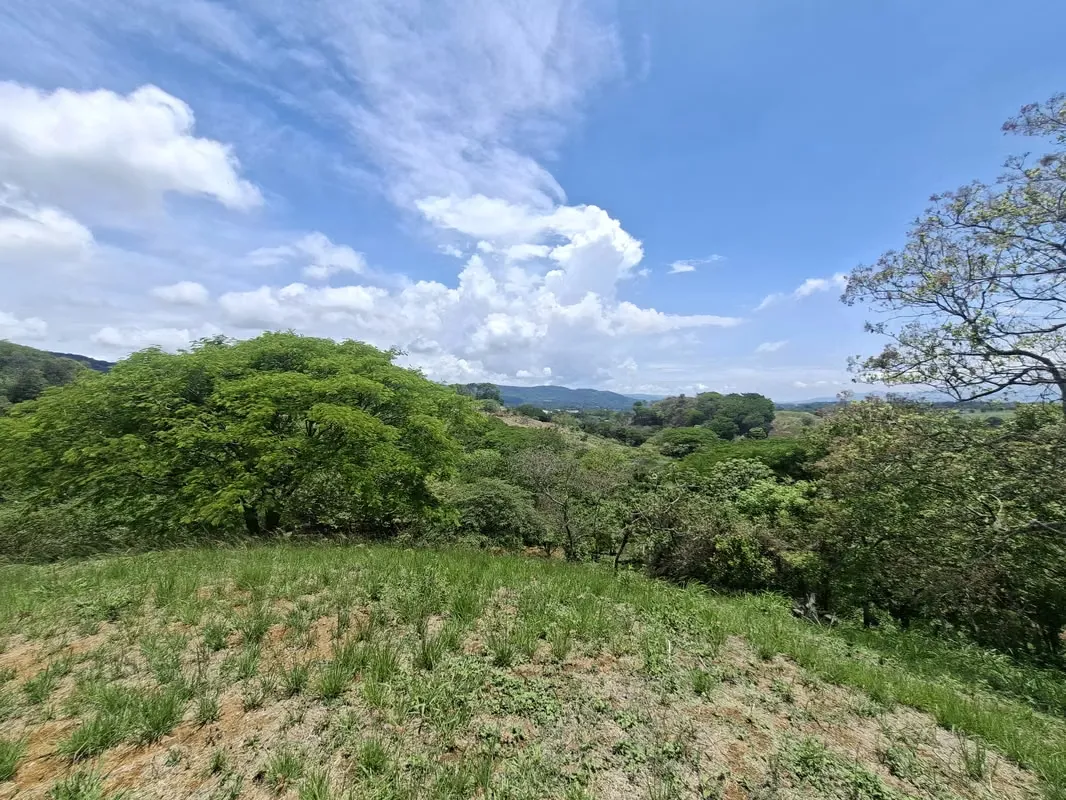 PROPIEDAD EN VENTA. BRASIL DE SANTA ANA. 30 003 m2. USO RESIDENCIAL, photo 5