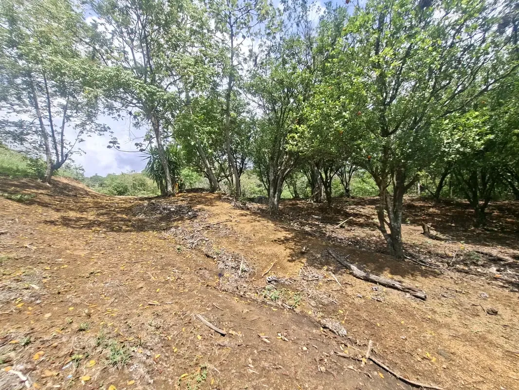 PROPIEDAD EN VENTA. BRASIL DE SANTA ANA. 30 003 m2. USO RESIDENCIAL, photo 9
