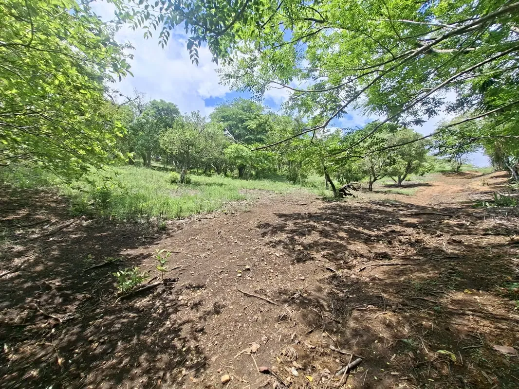 PROPIEDAD EN VENTA. BRASIL DE SANTA ANA. 30 003 m2. USO RESIDENCIAL, photo 10