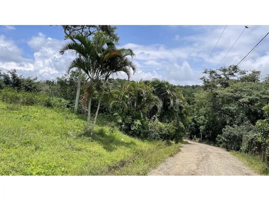 LOTE EN VENTA DE 1301 m² EN SAN PEDRO, SAN RAMON