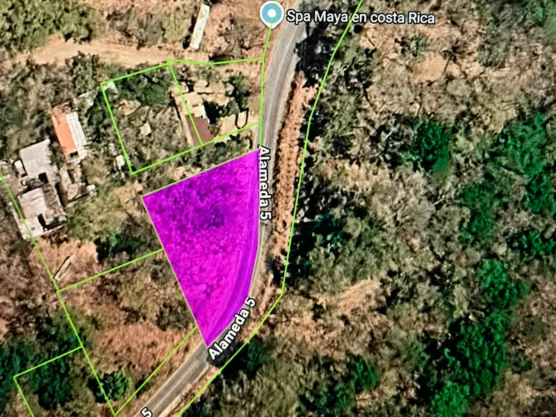 Land For Sale in Tamarindo