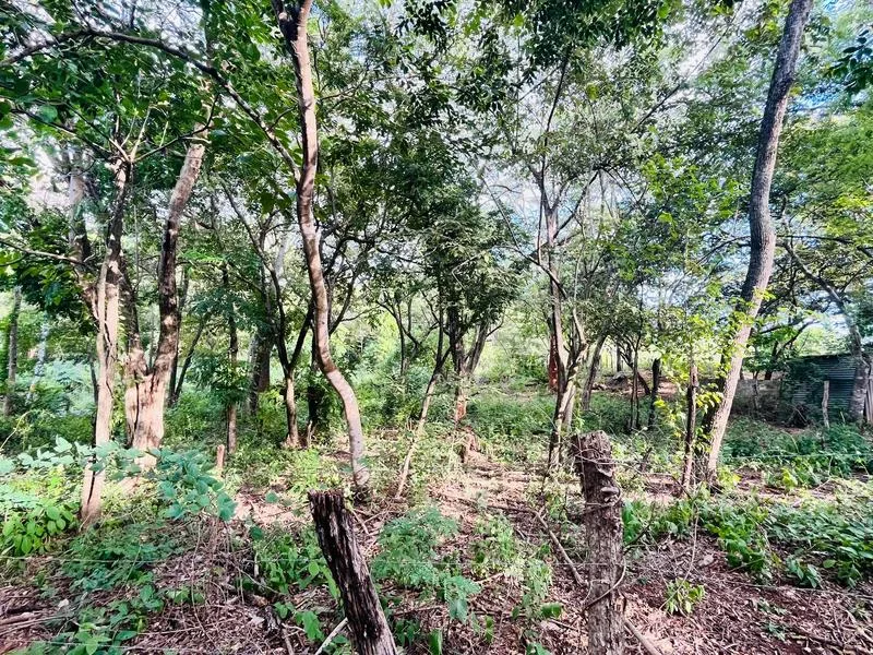 Land For Sale in Tamarindo, photo 2