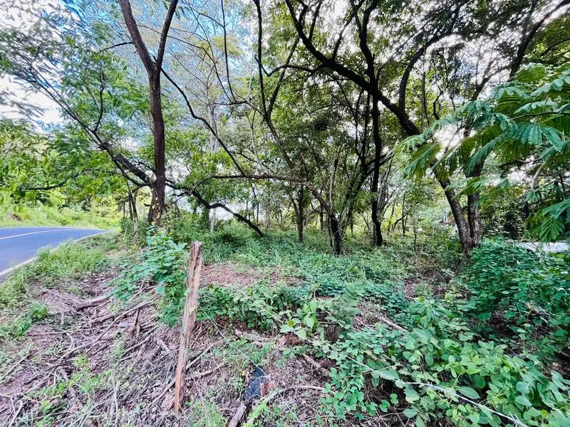 Land For Sale in Tamarindo, photo 3