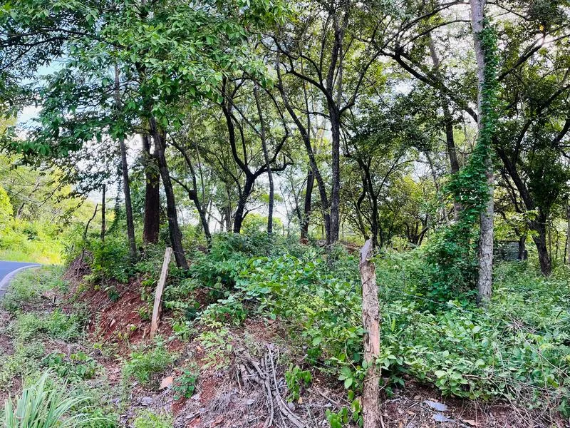 Land For Sale in Tamarindo, photo 7