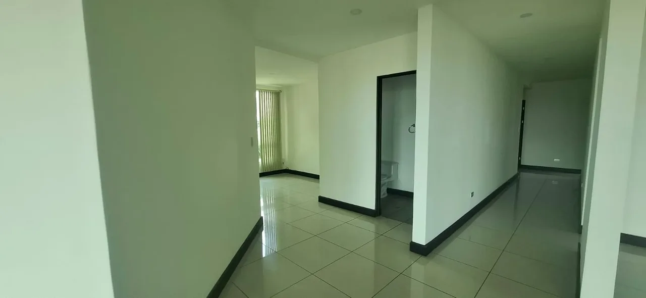 Hermoso y amplio apartamento en renta, photo 12