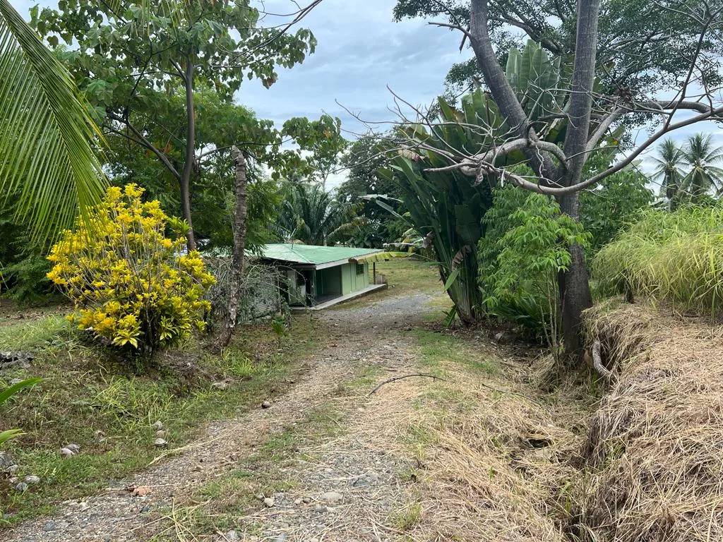 PROPERTY WITH OCEAN FRONT, IN CHACARA OJOCHAL – 0.5 ACRES, photo 4