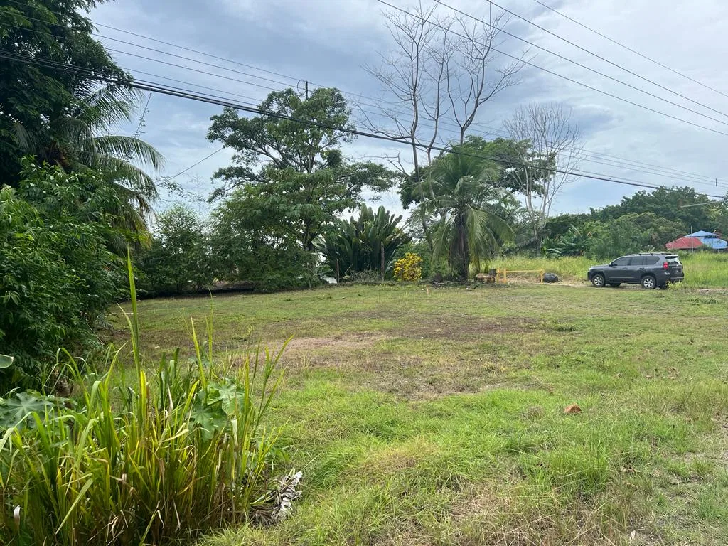 PROPERTY WITH OCEAN FRONT, IN CHACARA OJOCHAL – 0.5 ACRES, photo 5