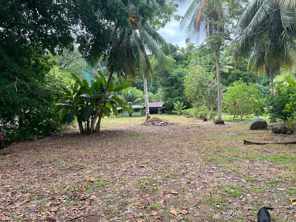 PROPERTY WITH OCEAN FRONT, IN CHACARA OJOCHAL – 0.5 ACRES, photo 6