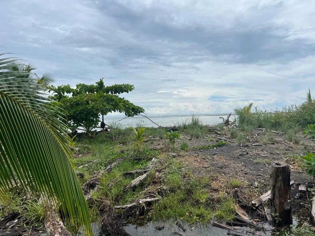 PROPERTY WITH OCEAN FRONT, IN CHACARA OJOCHAL – 0.5 ACRES, photo 7