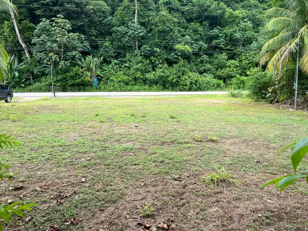PROPERTY WITH OCEAN FRONT, IN CHACARA OJOCHAL – 0.5 ACRES, photo 8