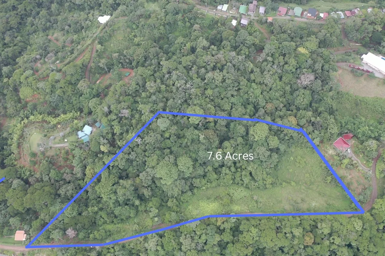 WALKING DISTANCE TO TOWN FORESTED LAND- 7.6 ACRES, photo 3