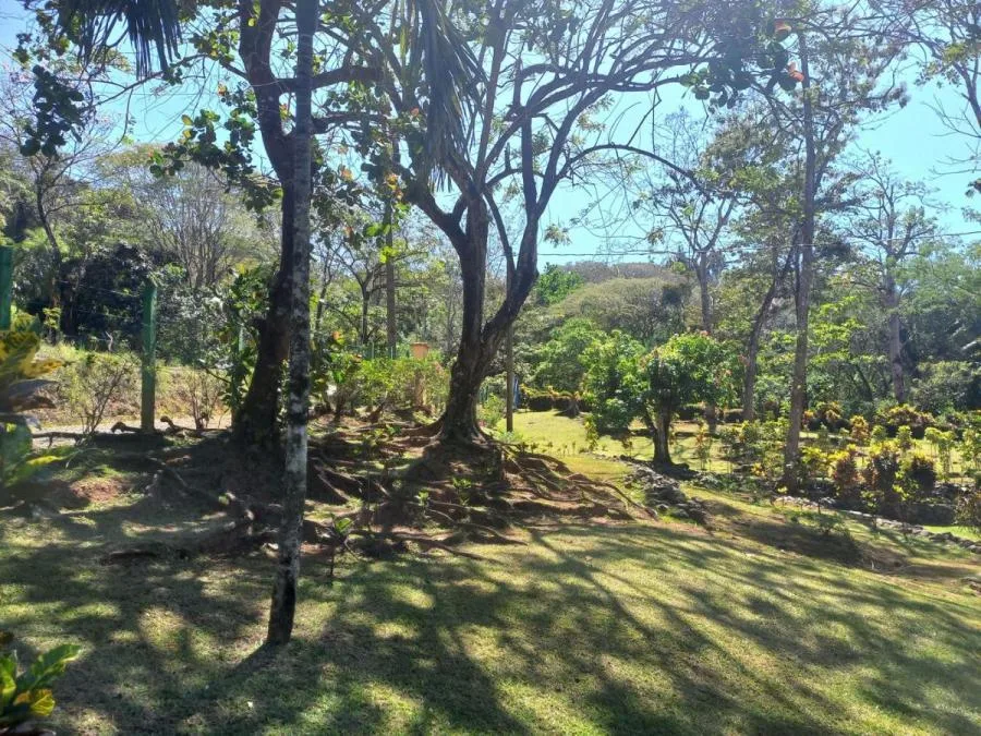 Venta de Finca en Turrûbares, San Josê. RAH 25-1881 - Venta en Turrubares, photo 12