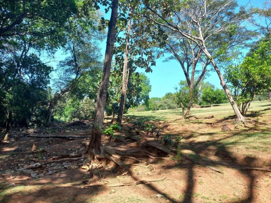 Venta de Finca en Turrûbares, San Josê. RAH 25-1881 - Venta en Turrubares, photo 9