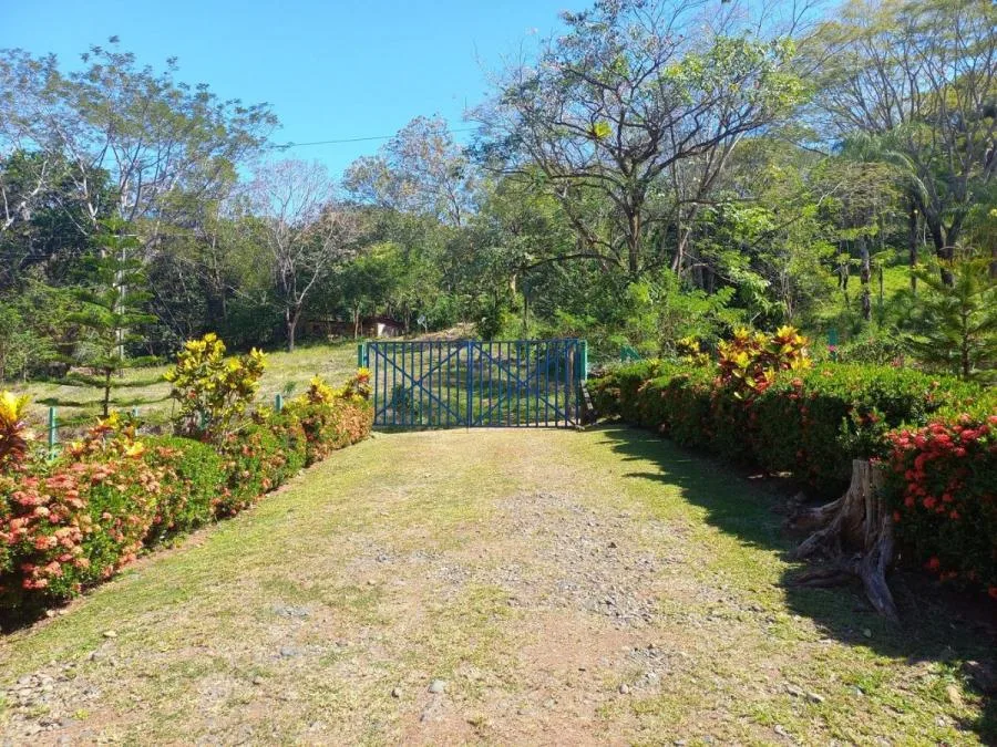 Venta de Finca en Turrûbares, San Josê. RAH 25-1881 - Venta en Turrubares, photo 10