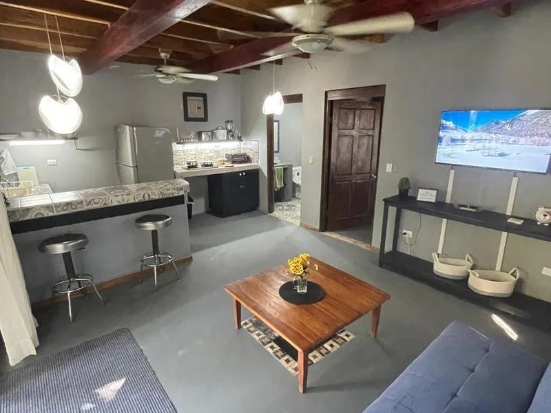 6 Bed Apartment For Sale in Tamarindo, photo 9
