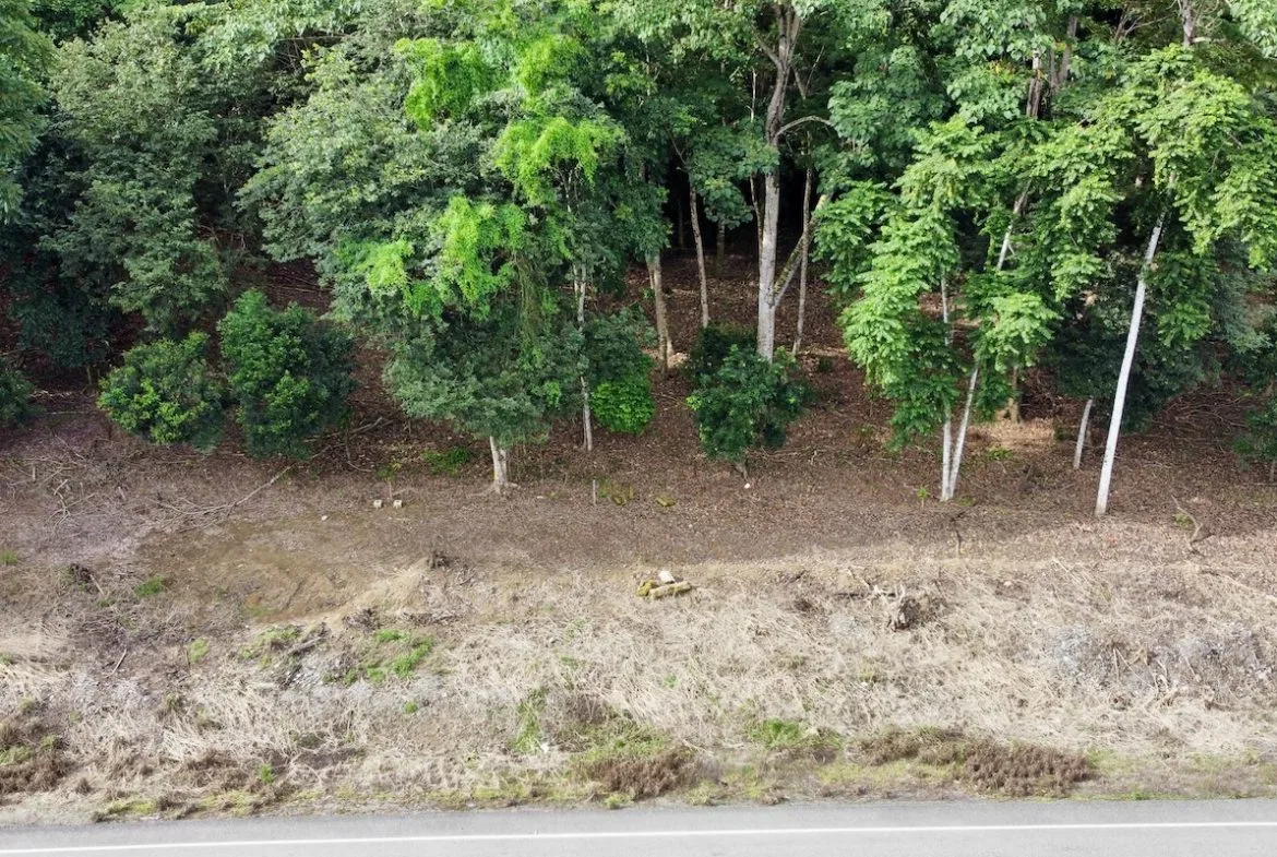 BUILDING PROPERTY WITH FRONT PUBLIC ROAD VIEWS, IN CHONTALES – 0.29 ACRES, photo 2