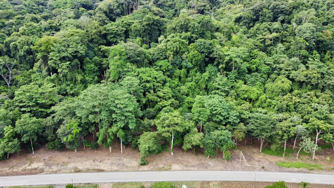 BUILDING PROPERTY WITH FRONT PUBLIC ROAD VIEWS, IN CHONTALES – 0.29 ACRES, photo 11