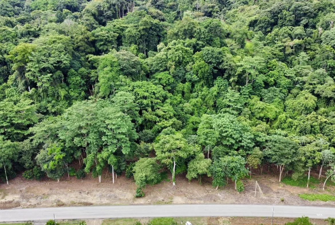 BUILDING PROPERTY WITH FRONT PUBLIC ROAD VIEWS, IN CHONTALES – 0.29 ACRES, photo 12