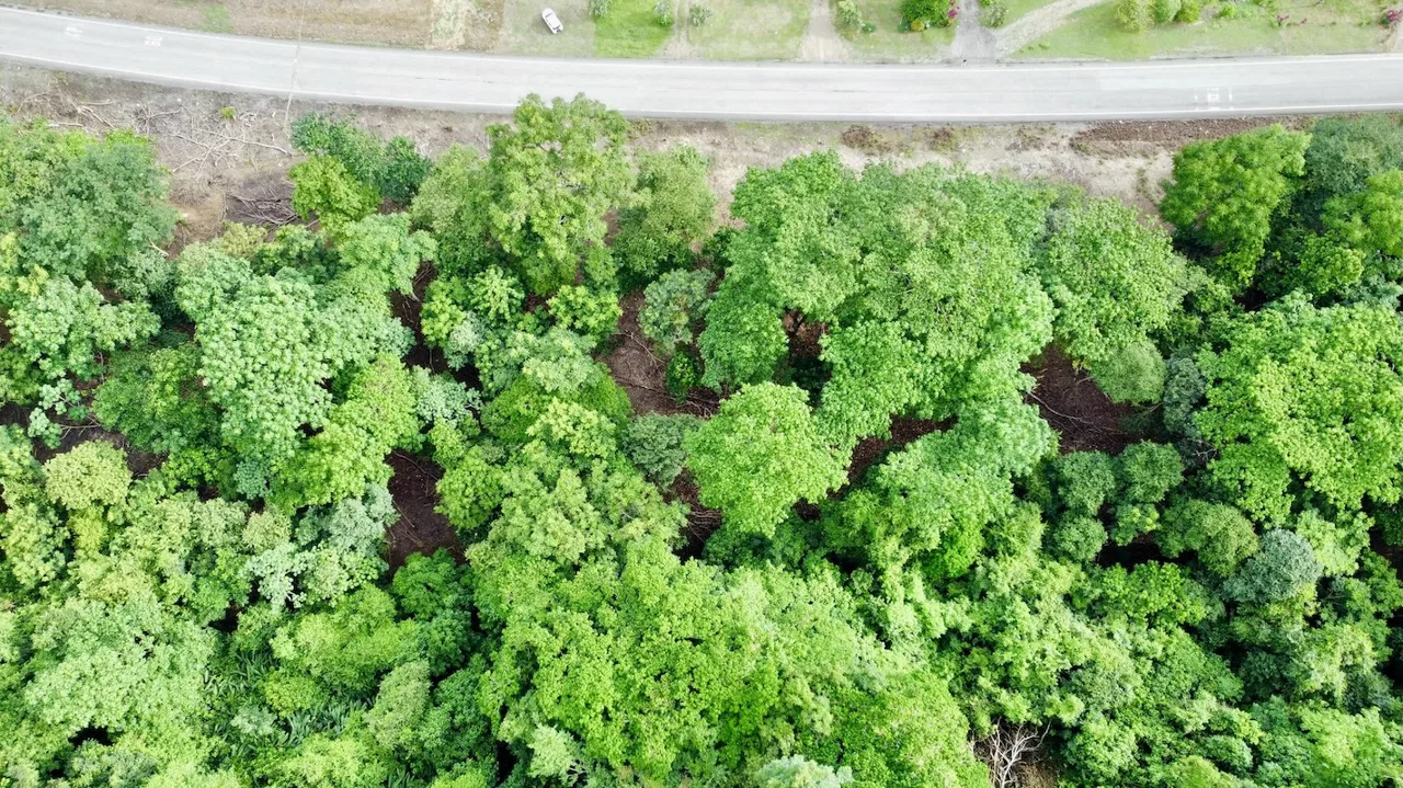 BUILDING PROPERTY WITH FRONT PUBLIC ROAD VIEWS, IN CHONTALES – 0.29 ACRES, photo 17