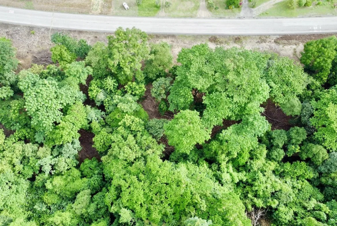 BUILDING PROPERTY WITH FRONT PUBLIC ROAD VIEWS, IN CHONTALES – 0.29 ACRES, photo 18