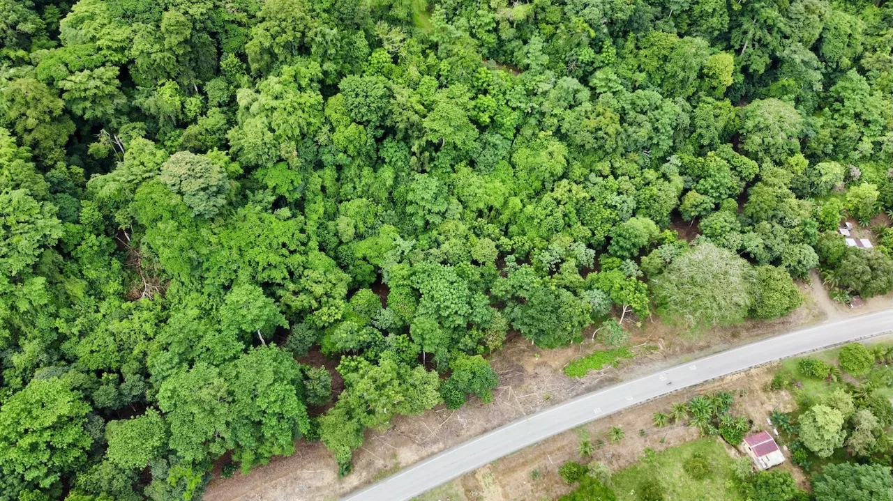 BUILDING PROPERTY WITH FRONT PUBLIC ROAD VIEWS, IN CHONTALES – 0.29 ACRES, photo 3