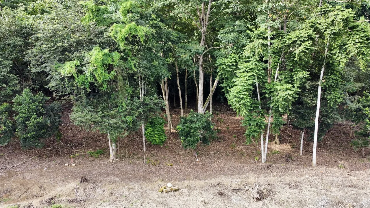BUILDING PROPERTY WITH FRONT PUBLIC ROAD VIEWS, IN CHONTALES – 0.29 ACRES, photo 21