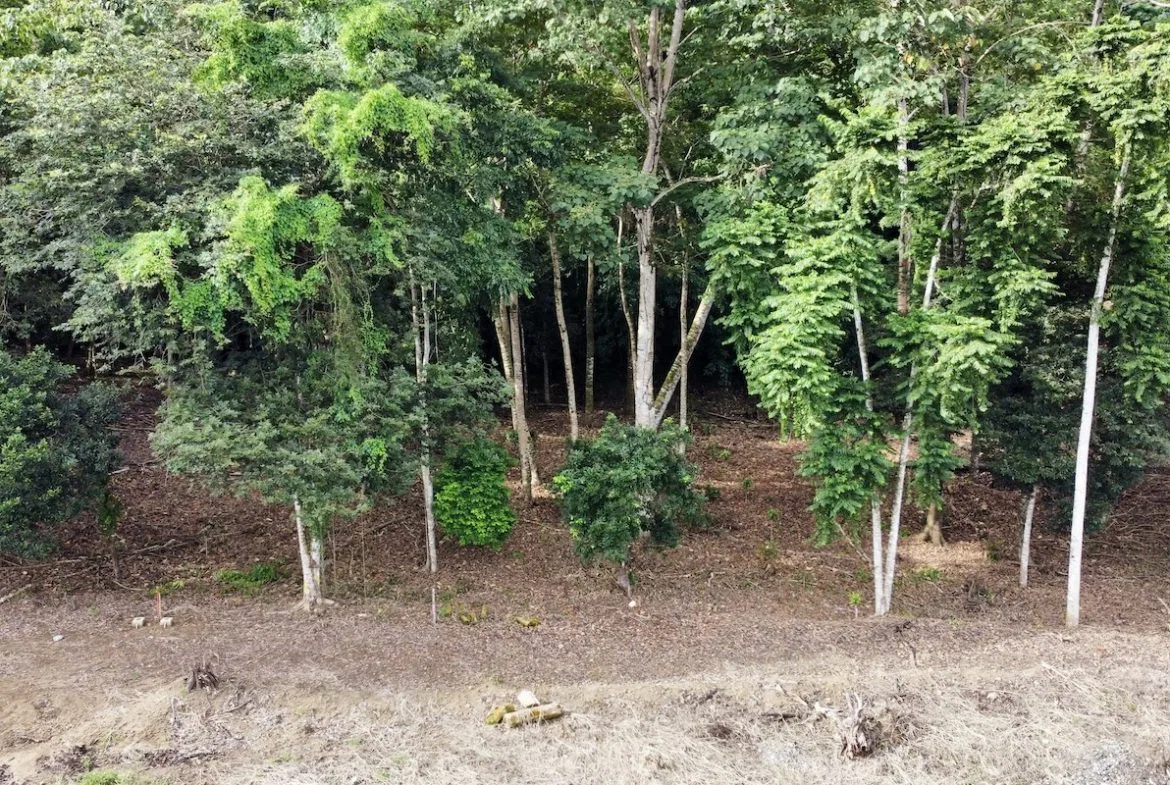 BUILDING PROPERTY WITH FRONT PUBLIC ROAD VIEWS, IN CHONTALES – 0.29 ACRES, photo 22