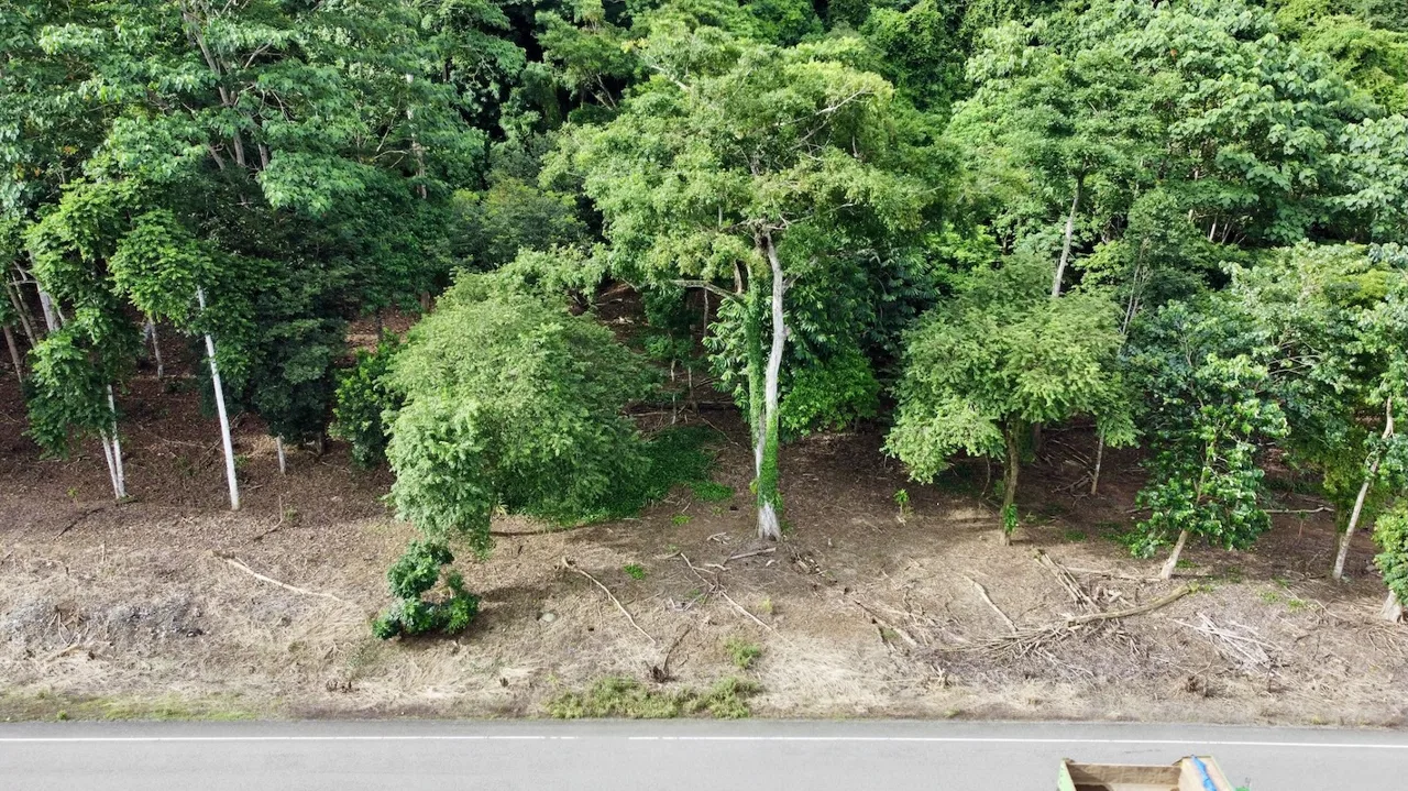 BUILDING PROPERTY WITH FRONT PUBLIC ROAD VIEWS, IN CHONTALES – 0.29 ACRES, photo 23
