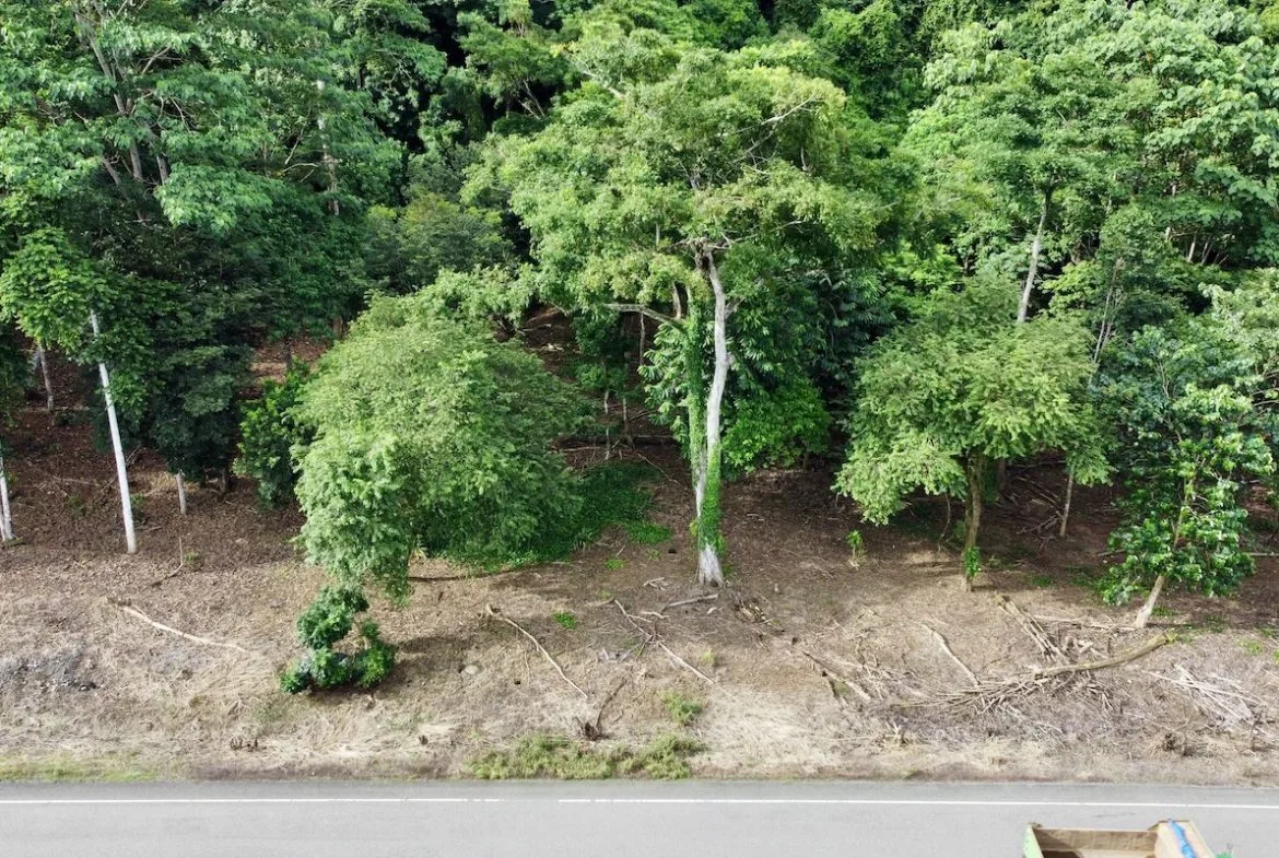 BUILDING PROPERTY WITH FRONT PUBLIC ROAD VIEWS, IN CHONTALES – 0.29 ACRES, photo 24