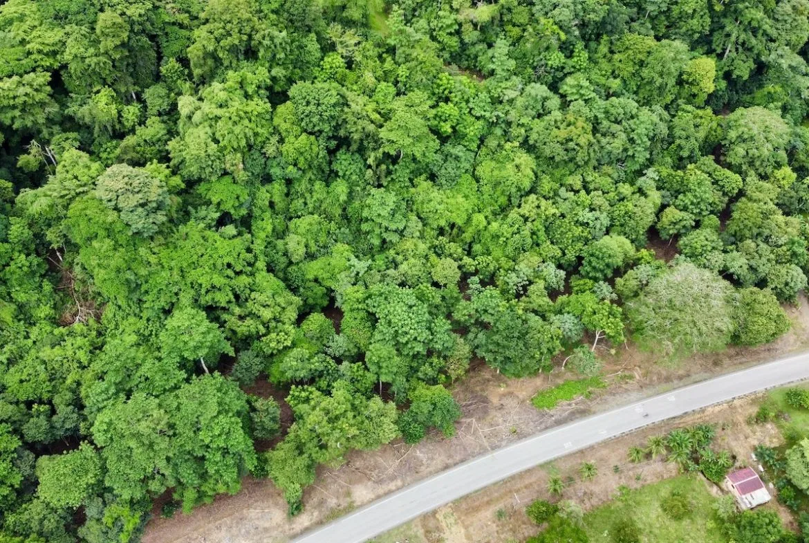BUILDING PROPERTY WITH FRONT PUBLIC ROAD VIEWS, IN CHONTALES – 0.29 ACRES, photo 4
