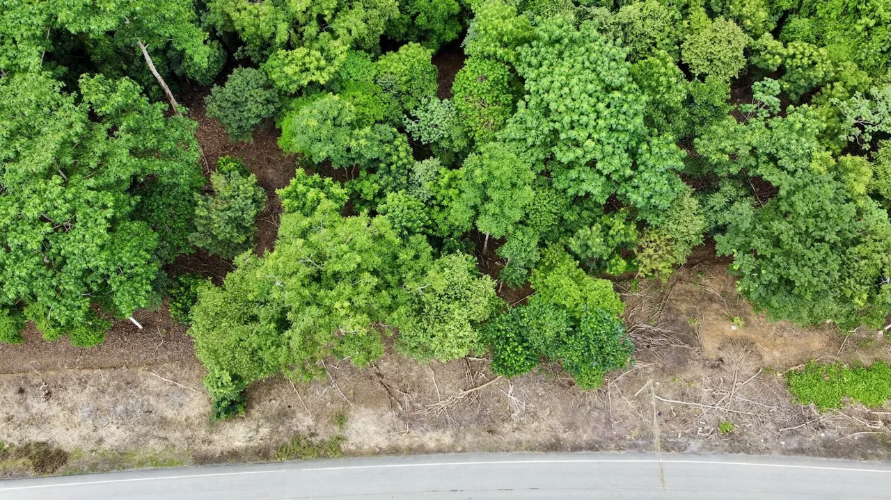 BUILDING PROPERTY WITH FRONT PUBLIC ROAD VIEWS, IN CHONTALES – 0.29 ACRES, photo 5