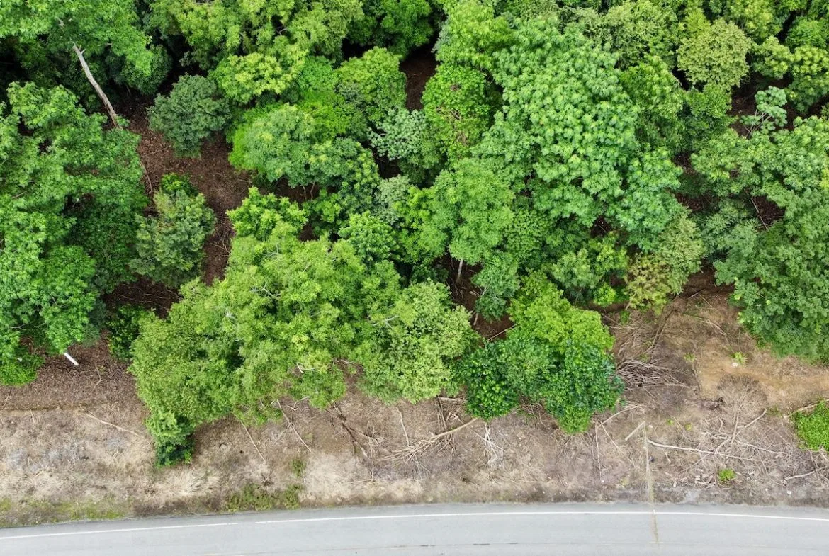 BUILDING PROPERTY WITH FRONT PUBLIC ROAD VIEWS, IN CHONTALES – 0.29 ACRES, photo 6